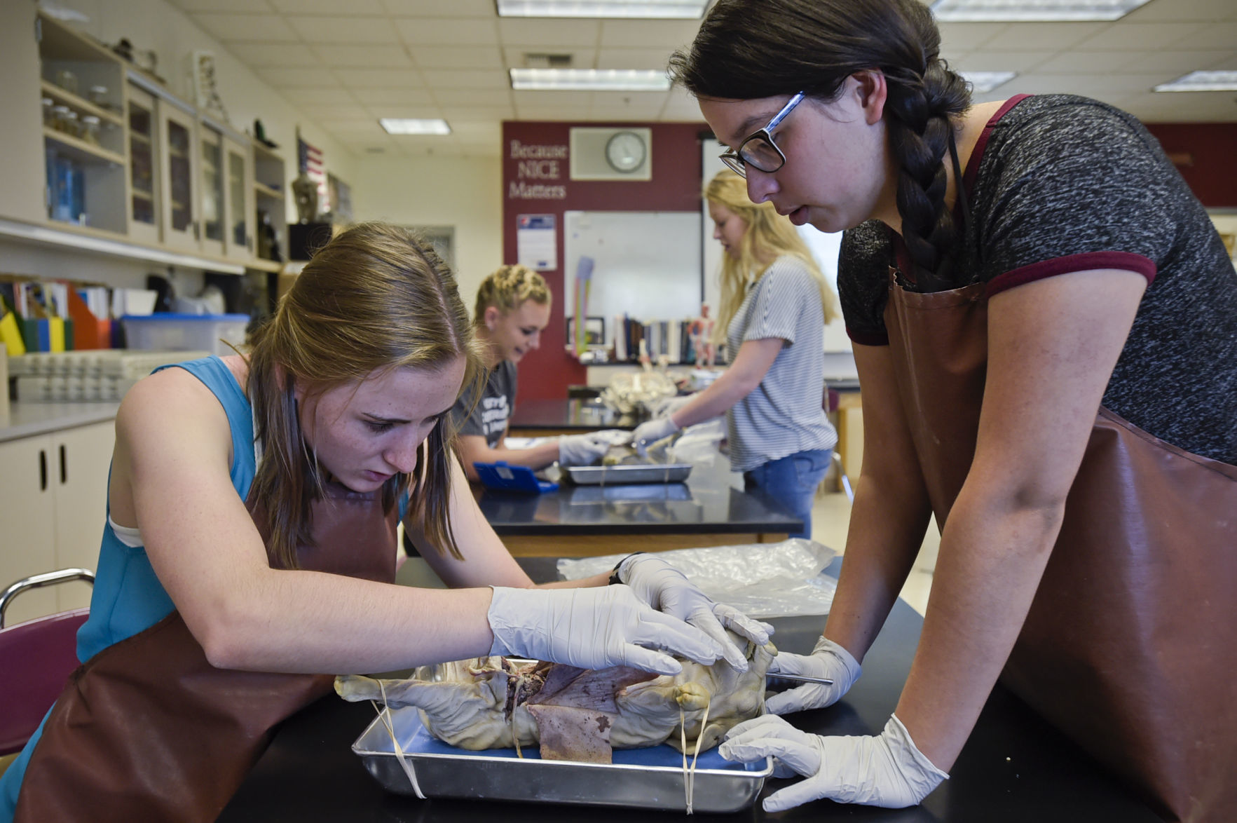 Anna Carparelli, left, and Aloura Tyler dissect a fetal pig
